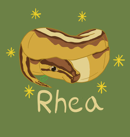 Commission of someone's ball Python