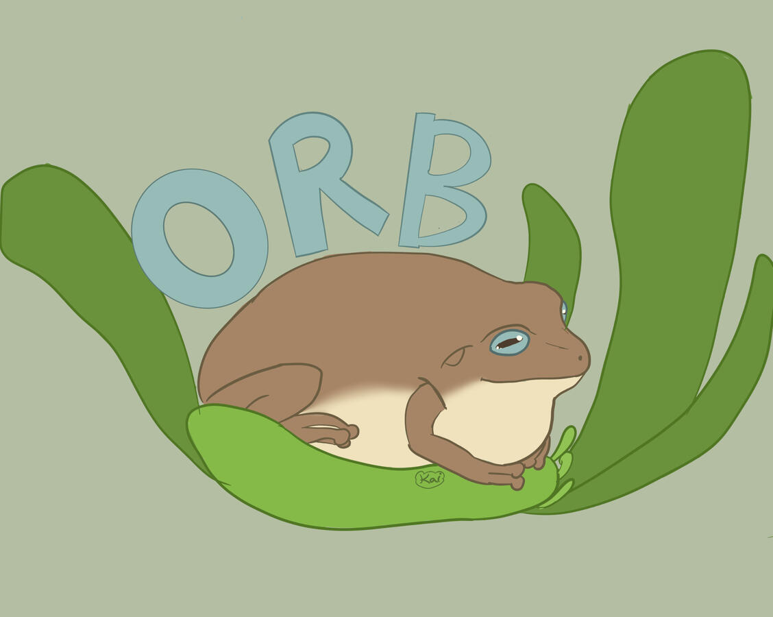 Illustration I did of my whites tree frog Ronni!