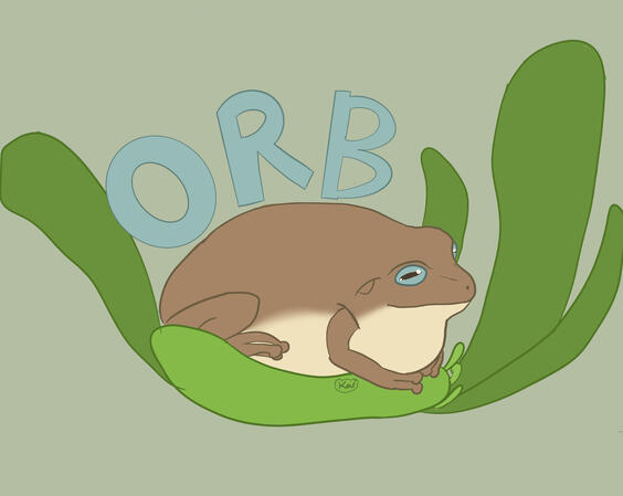 Illustration I did of my whites tree frog Ronni!