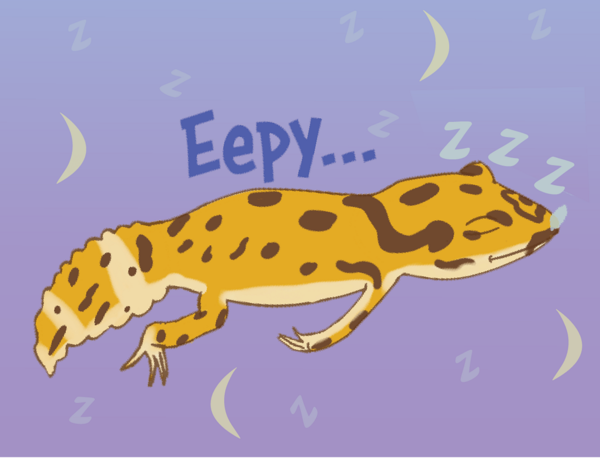 Eepy Gecko Example